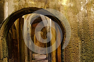 Ruins,archeology,mirabilis,bacoli,italy photo