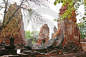 Ruins of Ayutthaya