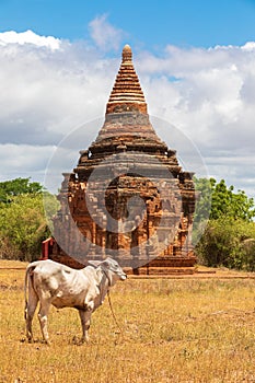 Ruins of Bagan, Myanmar. Religion, buddhist.