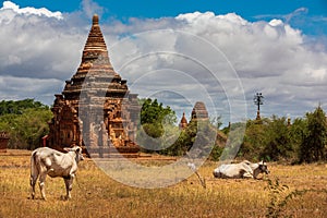 Ruins of Bagan, Myanmar. Religion, buddhist.