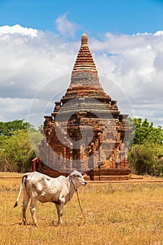 Ruins of Bagan, Myanmar. Religion, buddhist.