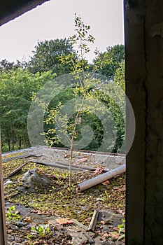 Ruins of Beelitz-HeilstÃ¤tten Lost place Berlin Brandenburg