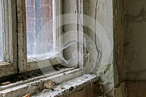 Ruins of Beelitz-HeilstÃ¤tten Lost place Berlin Brandenburg