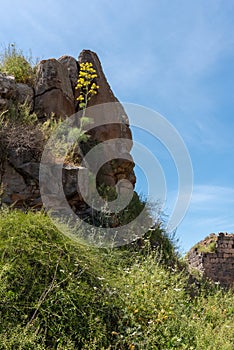 Ruins of Belvoir Fortress - Kokhav HaYarden National Park in Israel.