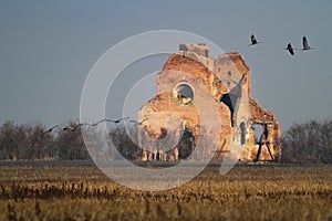 The ruins of the Benedictine monastery of Araca