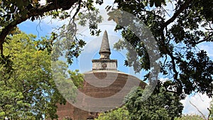 Ruins big and tall buddhist pagoda and banyan tree