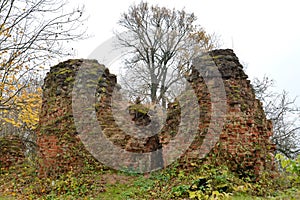 The ruins of the bishop`s castle Fishhausen 1268. Primorsk, Kaliningrad region