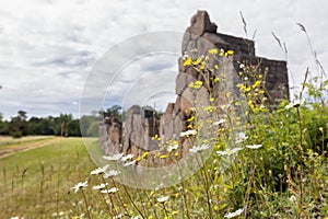 Ruins of Bomarsund fort and flowers on foreground, Aland
