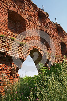 Ruins of Brandenburg castle in Ushakovo