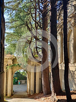 the ruins of a building in the forest