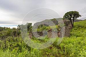 Ruins and cabbage trees in the mountain