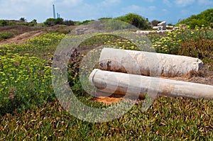 Ruins in Caesarea Israel