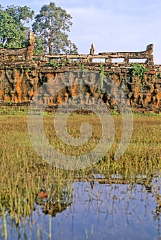 Ruins- Cambodia