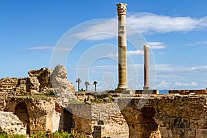 Ruins of Carthage. Tunisia, Africa