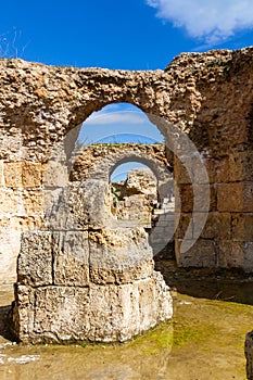 Ruins of Carthage. Tunisia, Africa