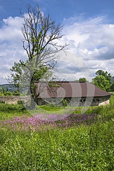 Ruins of Castle