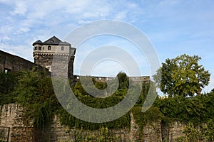 Ruins of castle in Andernach Germany