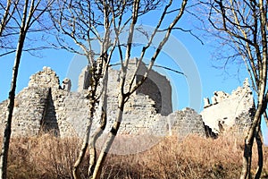 Ruins of castle Castel Romano behind trees