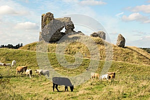 Ruins of the castle. Clonmacnoise. Ireland