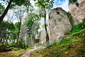 Ruins of castle Dobra Voda - Slovakia