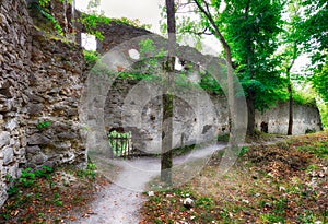 Ruins of castle Dobra Voda - Slovakia