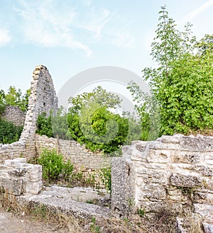 Ruins of Castle Dvigrad in Istria