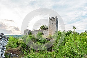 Ruins of Castle Dvigrad in Istria