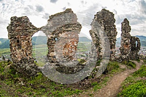 The ruins of the castle