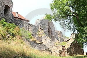 Ruins of castle Pecka