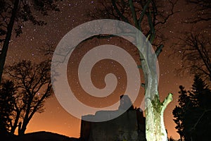 Ruins of the castle photography in the night Zborov Slovakia