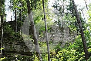 Ruins of castle Sokolci in forest