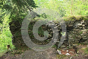 Ruins of castle Sokolci in forest