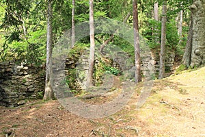 Ruins of castle Sokolci overgrown by plants and trees