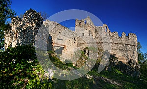 Zřícenina hradu Tematín