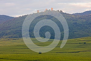 ruins of castle and vineyards near Eguishem, Alsace, France