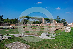 Ruins at Circulus Maximus in Rome, Italy