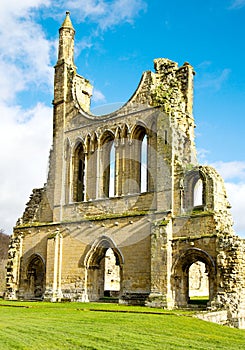 Ruins of a Cistercian Monastry