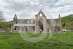 Ruins of the Cistercian Tintern Abbey, Wales