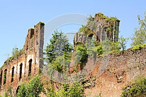 Ruins of the Cistercienzer. Belgium