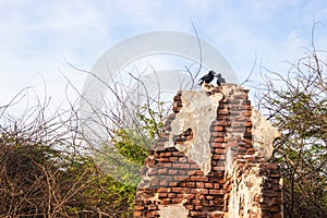 Ruins of the city of Danushkodi. Fishermen`s huts among the ruins.