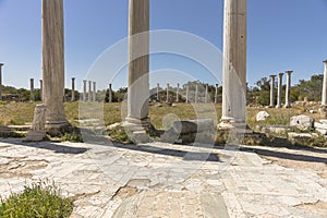 Ruins of City Salamis in Fama , Cyprus.