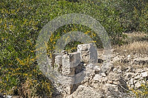 Ruins of City Salamis in Fama , Cyprus.