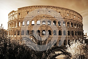 Ruins of the Colosseum - landmark attraction in Rome, Italy