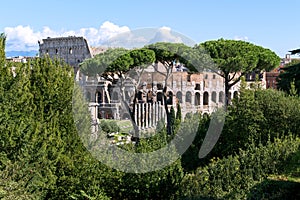 Ruins of the colosseum in Rome