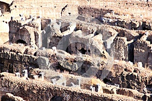 Ruins of the Colosseum in Rome, Italy