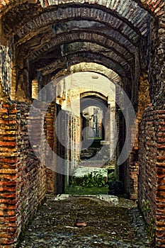 Ruins of Colosseum, Rome, Italy