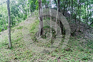 Ruins covered by thick jungle at the archaeological site Yaxha, Guatema