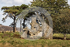 Ruins of Croft at Moss of Tolophin near Auchindoir in Aberdeenshire, Scotland