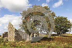 Ruins of Croft at Moss of Tolophin near Auchindoir in Aberdeenshire, Scotland