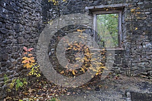 Ruins of the Darnley Grist Mill in Ontario, Canada
